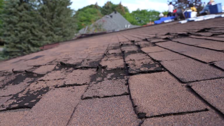 Best Storm Damage Roof Repair  in Burlington, NC