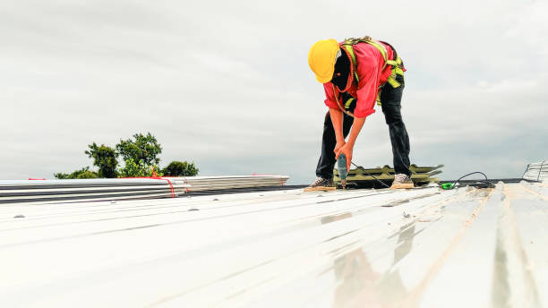 Best Roof Moss and Algae Removal  in Burlington, NC